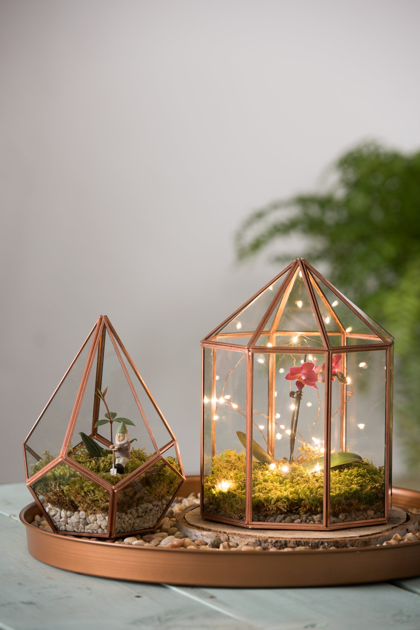 Holiday gifts, such as terrariums, provide year round enjoyment by enabling people to grow no matter the weather outside.