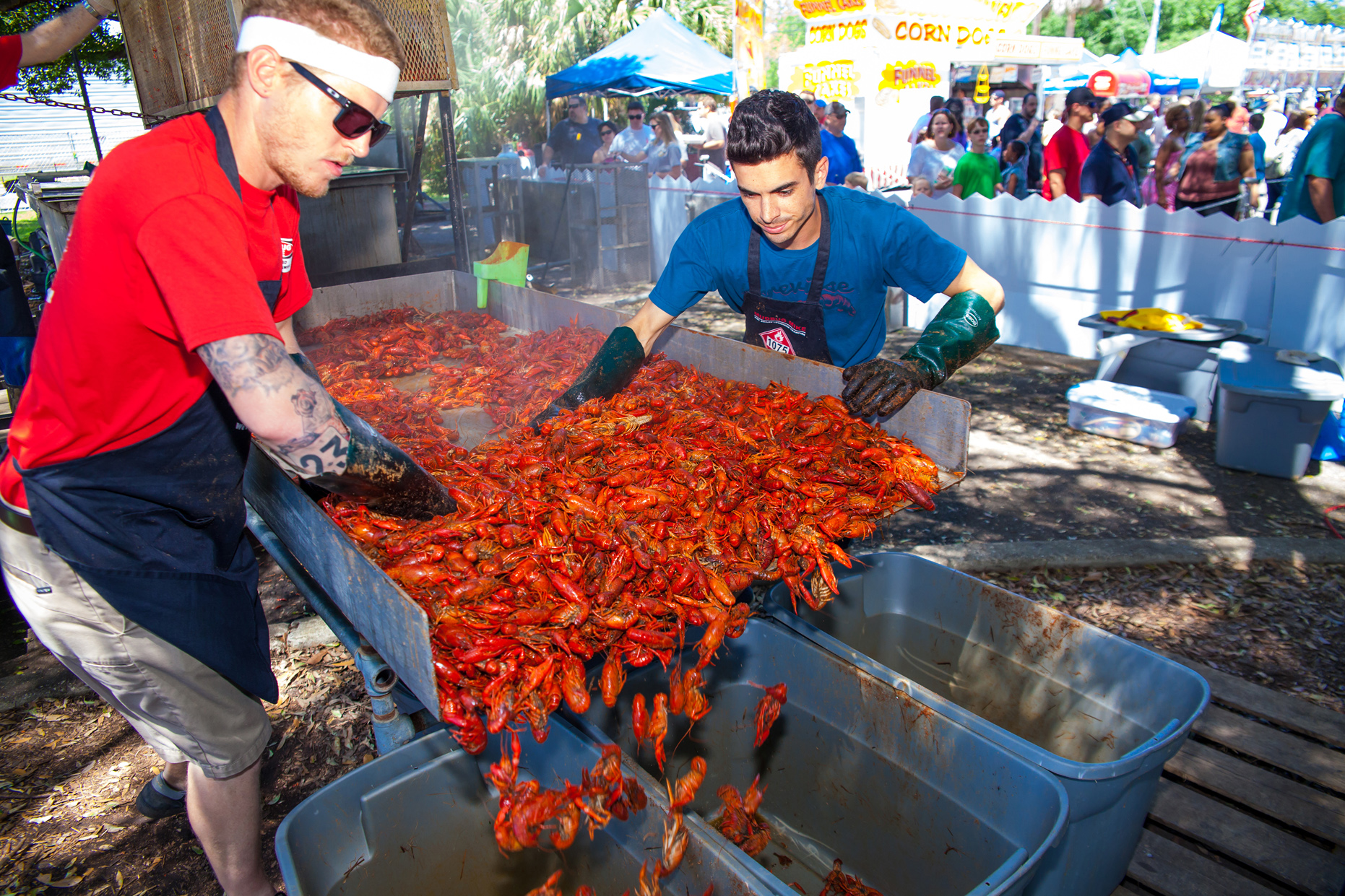 Crawfish Festival