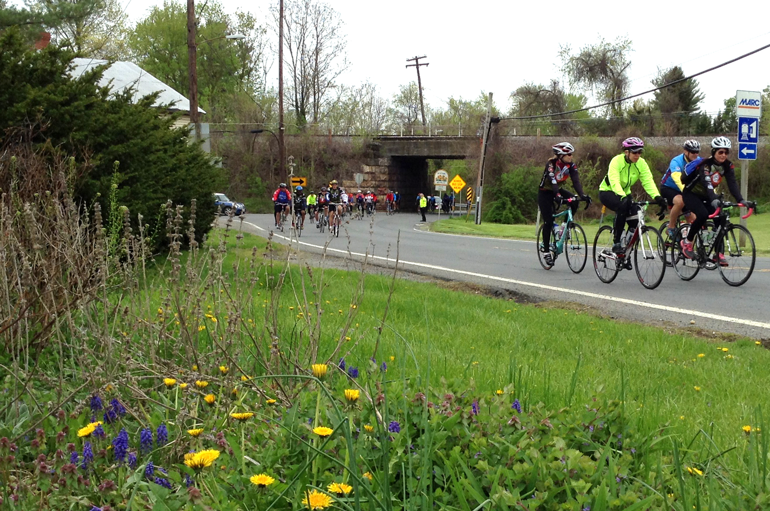 Face of America riders approach Frederick, Maryland during the 2015 ride. Photograph by David Rhinehart.