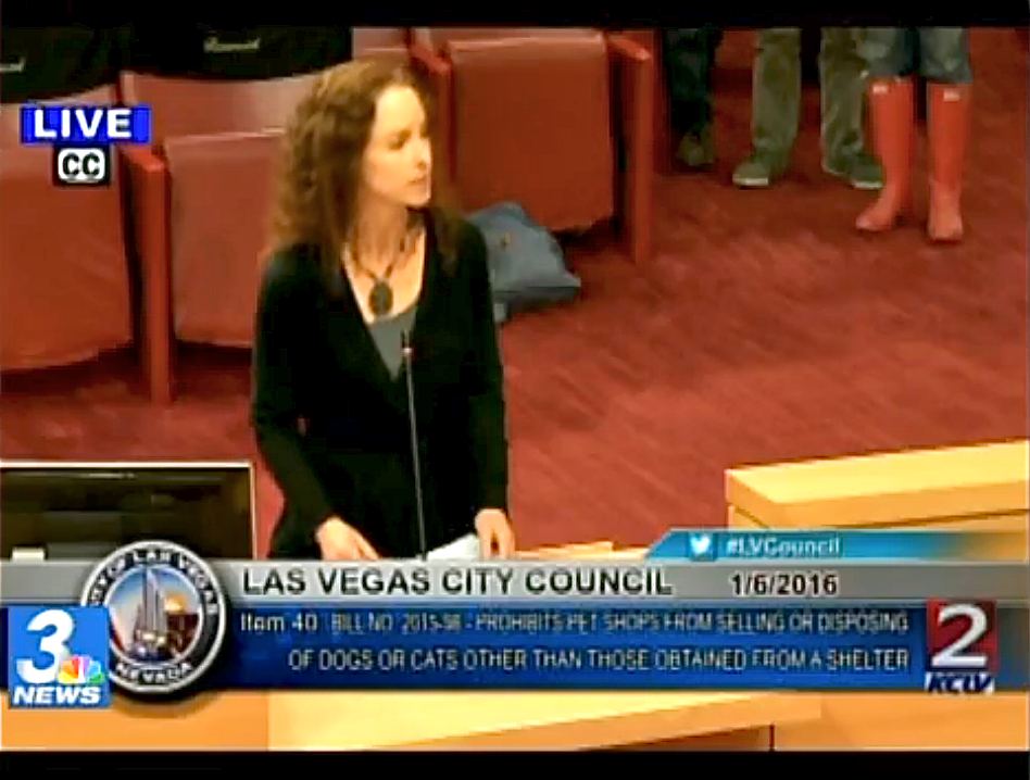 Best Friends Animal Society's Elizabeth Oreck Testifies In Las Vegas