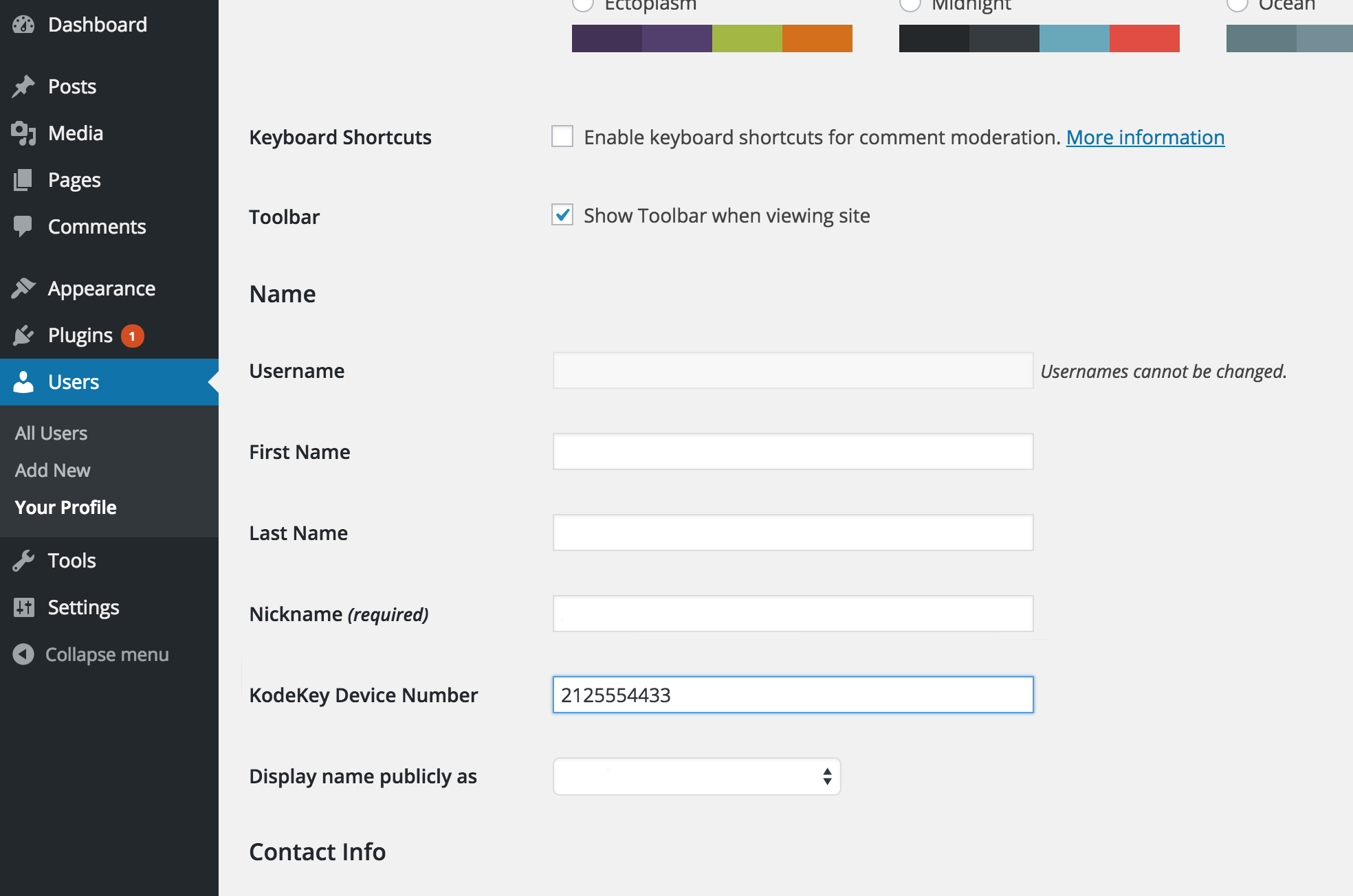 WordPress Plugin Admin