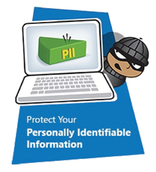 pii information personally identifiable vault introduces secure cloud storage protect