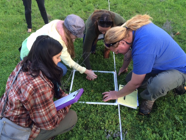 Learning how to do a plant transect.