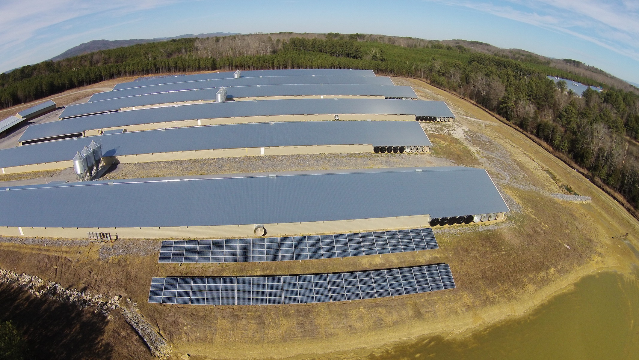 Renewvia Energy completed multiple solar projects totaling 200kW of installed solar photovoltaic power for Baxter Brothers Poultry Farm in Georgia.