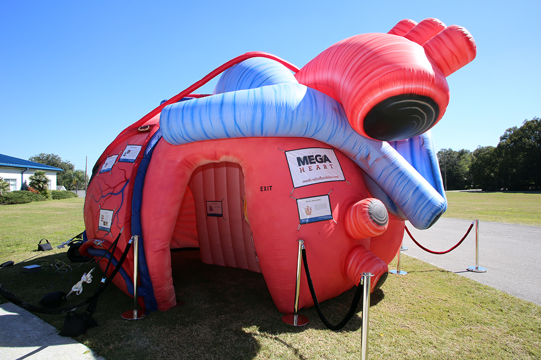 The MEGA Heart Inflatable Exhibit