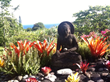 Sue Wong Hawaii - Buddha Circle Garden designed by Sue Wong Photo by Sue Wong
