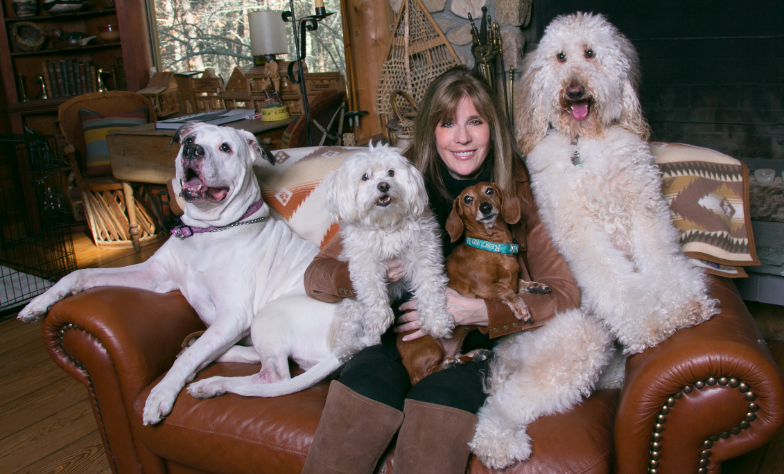 Jill Rappaport and her four rescue dogs partner with ParaDefense on a national awareness campaign