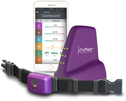 The smart collar continuously monitors pet health, vital signs and activity levels.