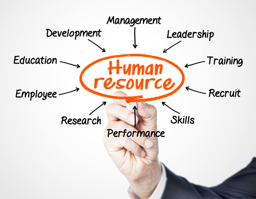 The 5 Major Areas of HR Where Translation Can Be of Vital Importance