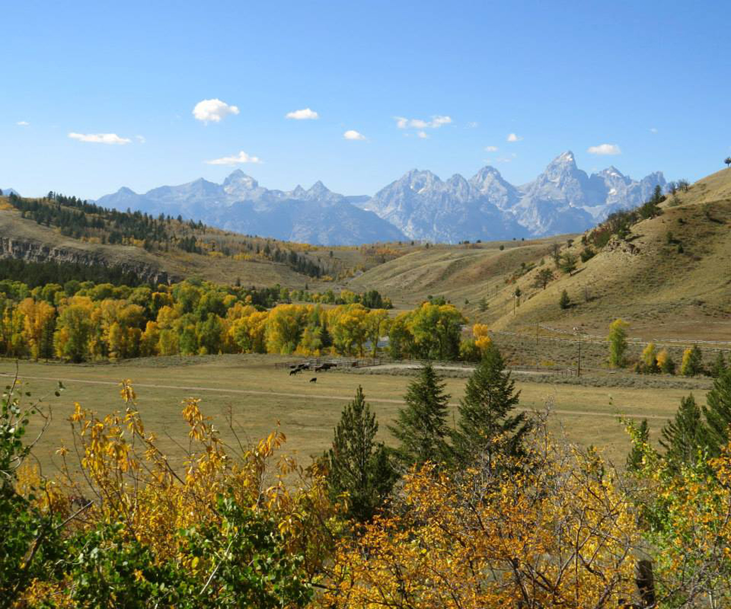 September is an ideal time to be in Jackson Hole as the Teton Range boasts colorful foliage, providing inspiration for festival artists and art lovers.