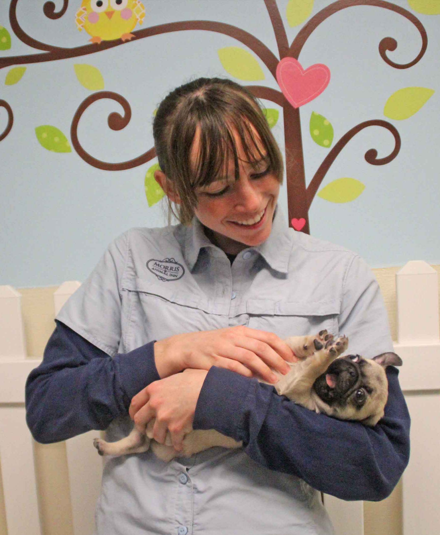 Morris Animal Inn's personal attendants give pups lots of love and attention in the Puppy Nursery.