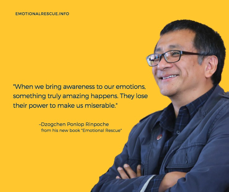 "When we bring awareness to our emotions, something truly amazing happens.They lose their power to make us miserable." – dpr