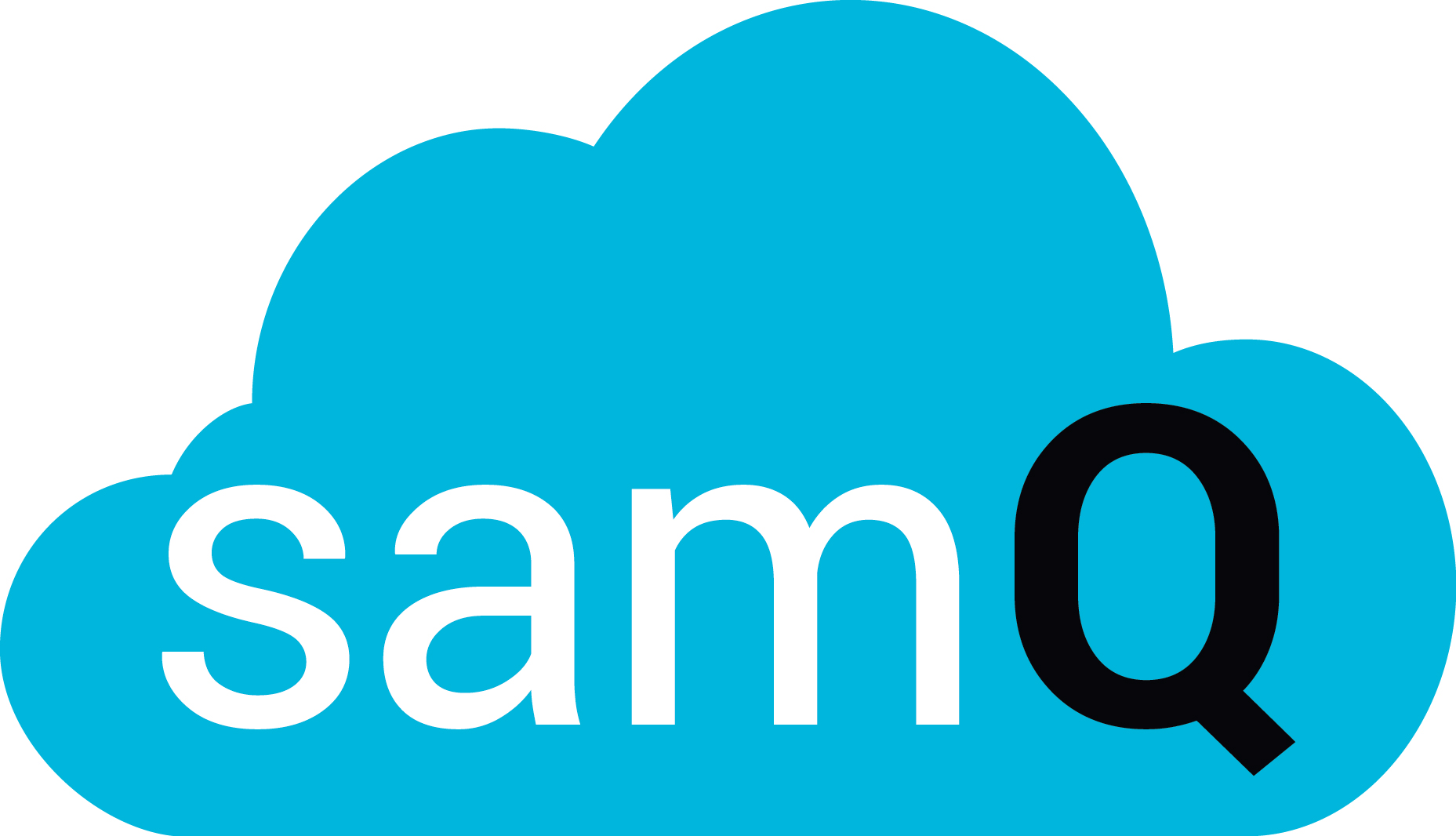 samQ Cloud SAP license management