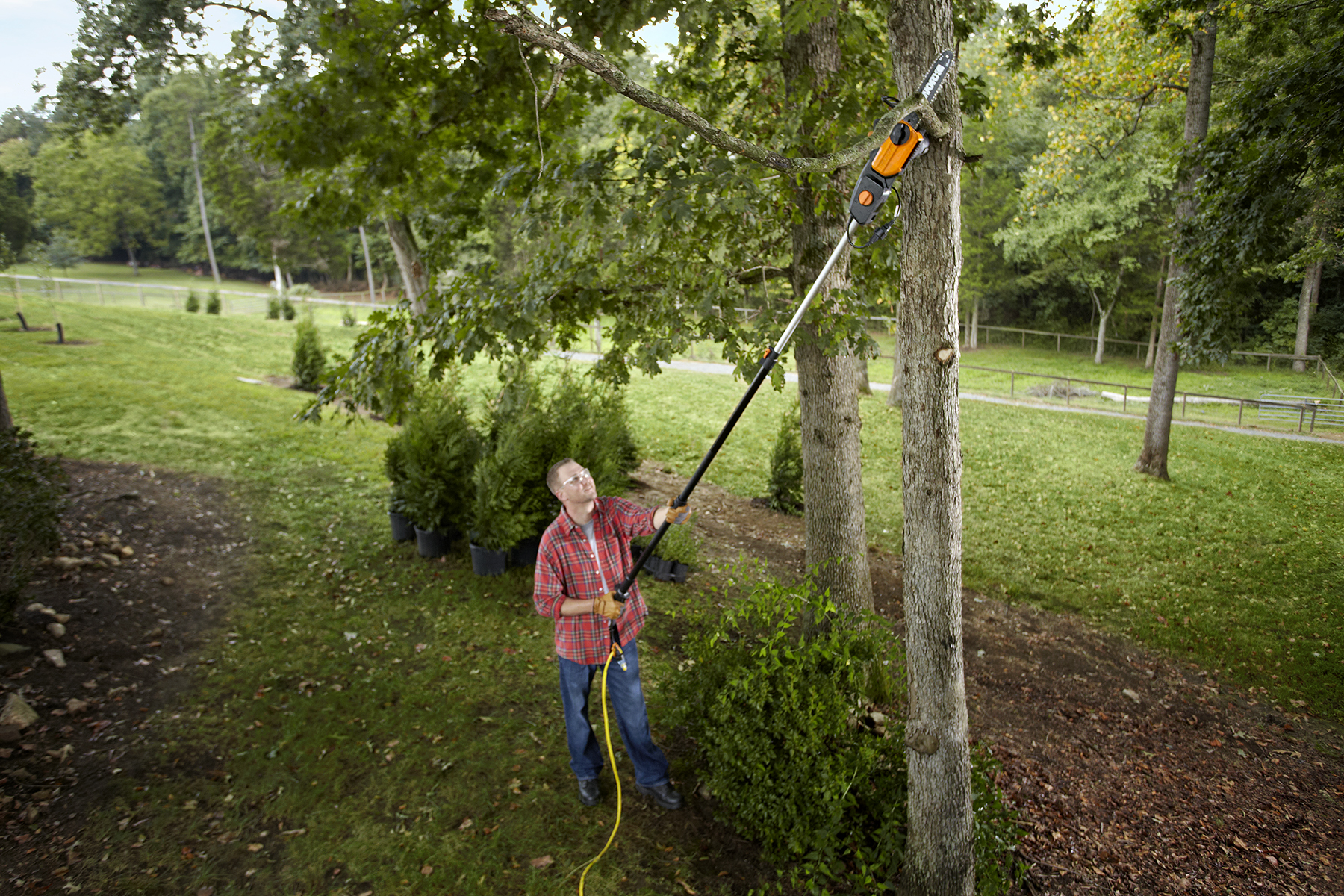 WORX 8A, 10 in. Electric Pole Saw is ideal for spring pruning and trimming.