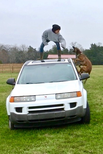 You think getting on top of a car will stop me?!