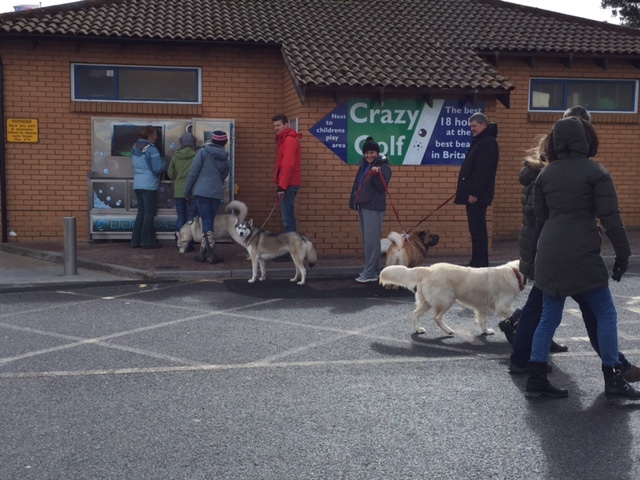 Dog Owners waiting to use the new self serve dog wash in the UK.