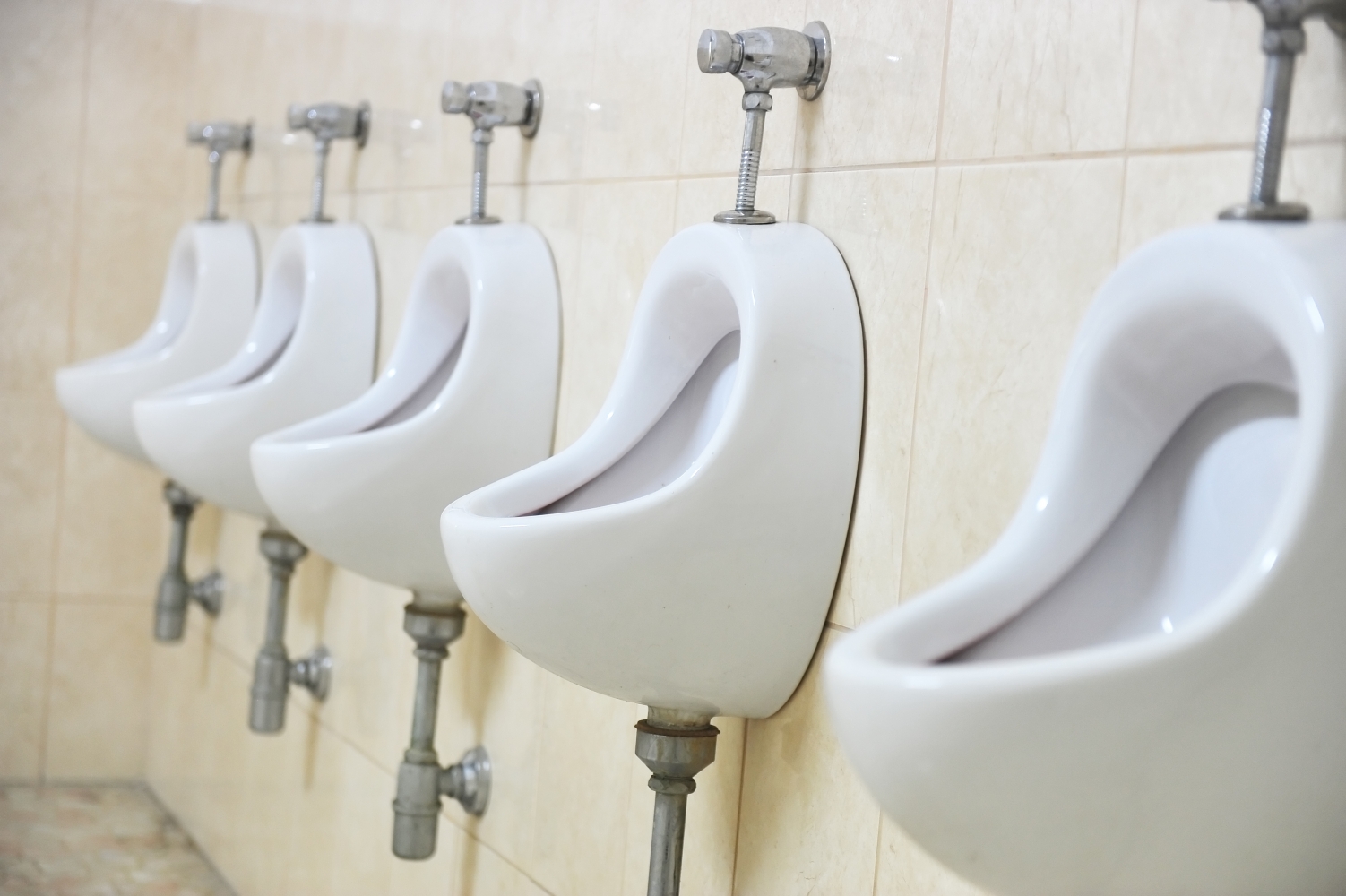 Splash Screen is a hygiene invention designed to prevent back splash when using  urinals.