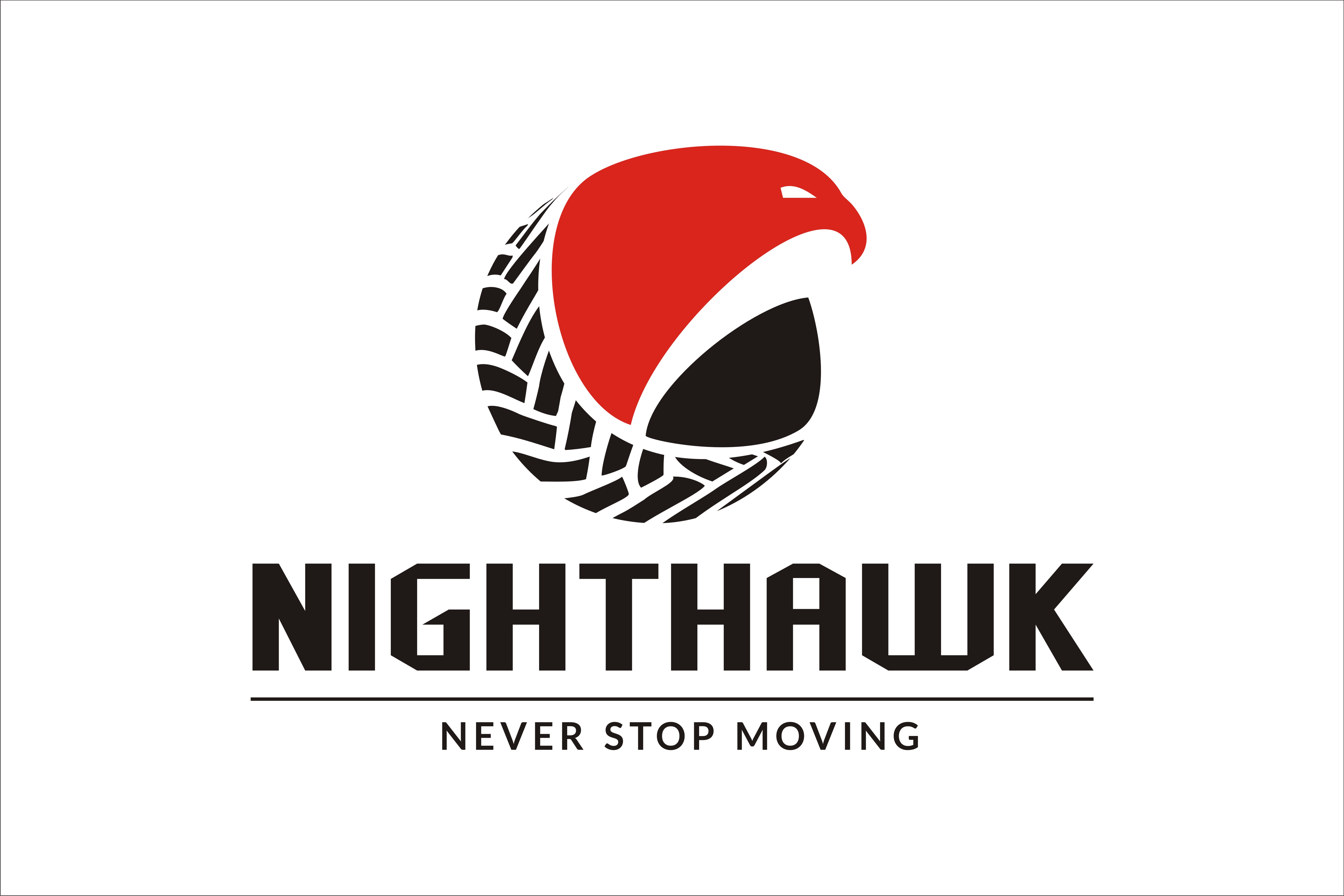 Nighthawk circle. Nighthawk logo.