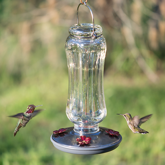 View the extensive line of Perky-Pet® bird feeders at birdfeeders.com.