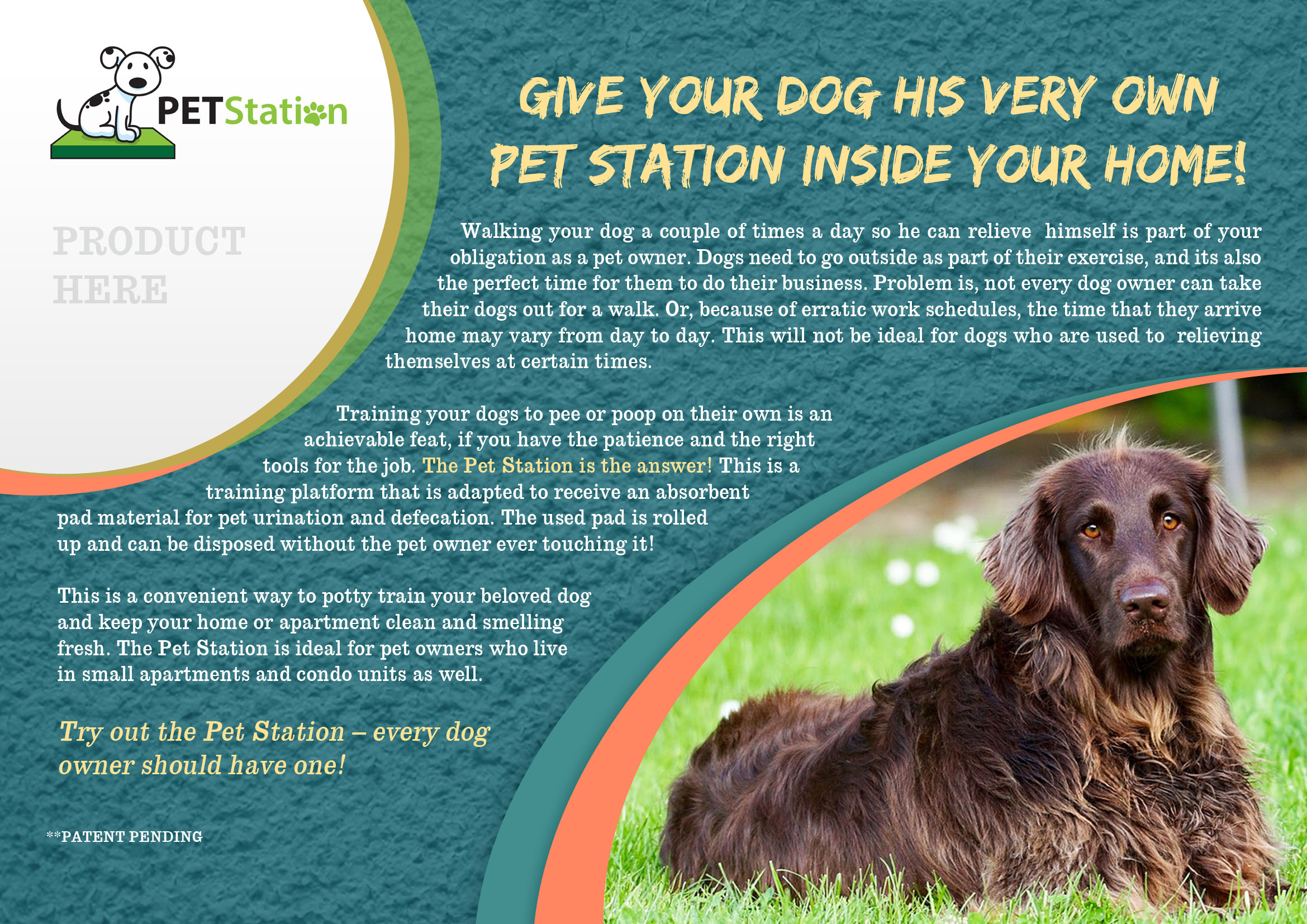 The Pet Station is a pet invention  which every household with pets will absolutely want to have on hand