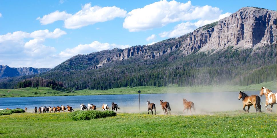 Brooks Lake Lodge & Spa is famous for its uniquely remote Wyoming location and range of activities for outdoor lovers such as horseback riding, fishing and hiking.
