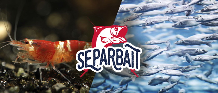 Separbait, a fishing invention that is made to separate bait from one another inside a live boat.