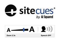 Sitecues is a SaaS accessibility product that builds zoom, speech and other capabilities right into websites