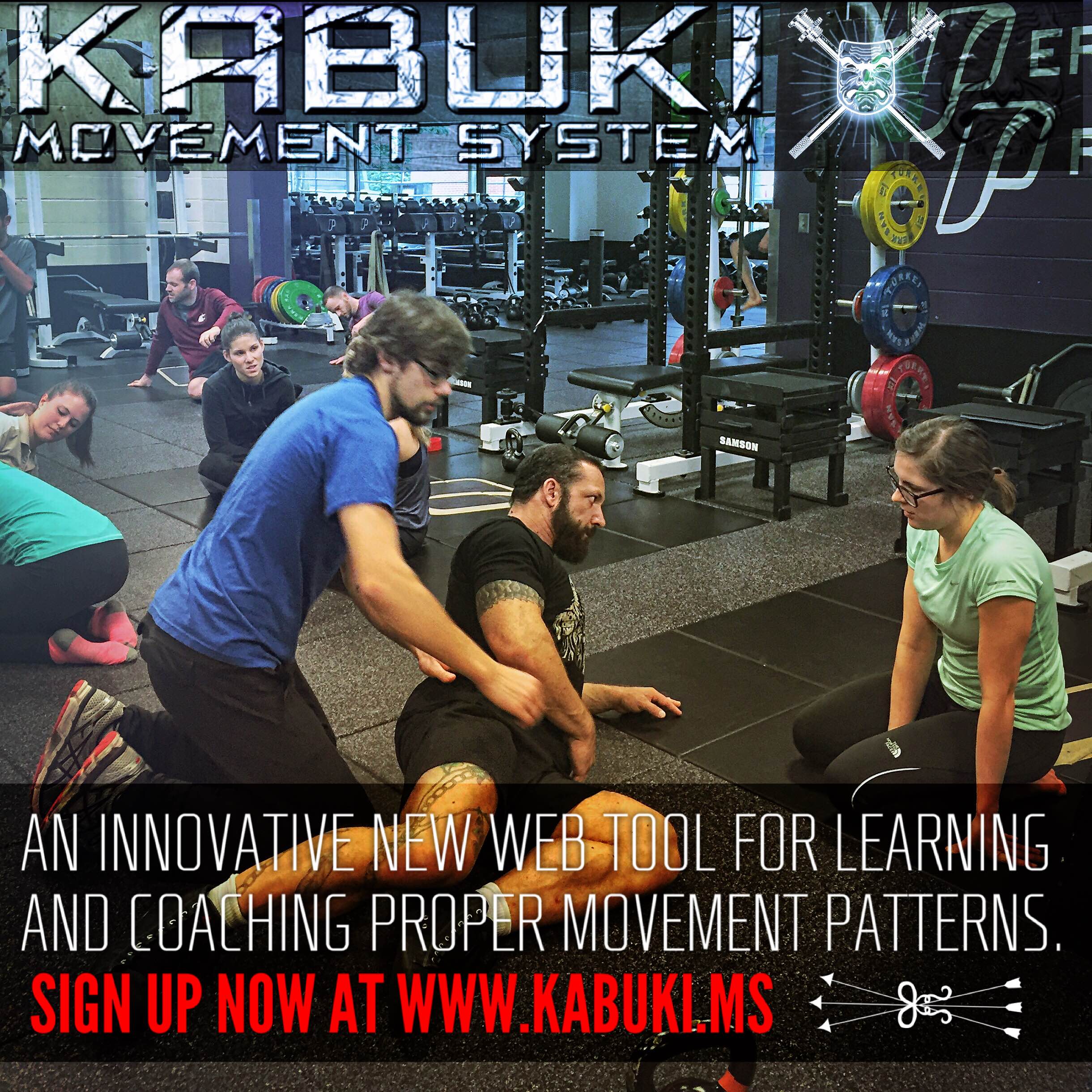 Kabuki Movement System. An innovative web tool for learning and coaching proper movement patterns
