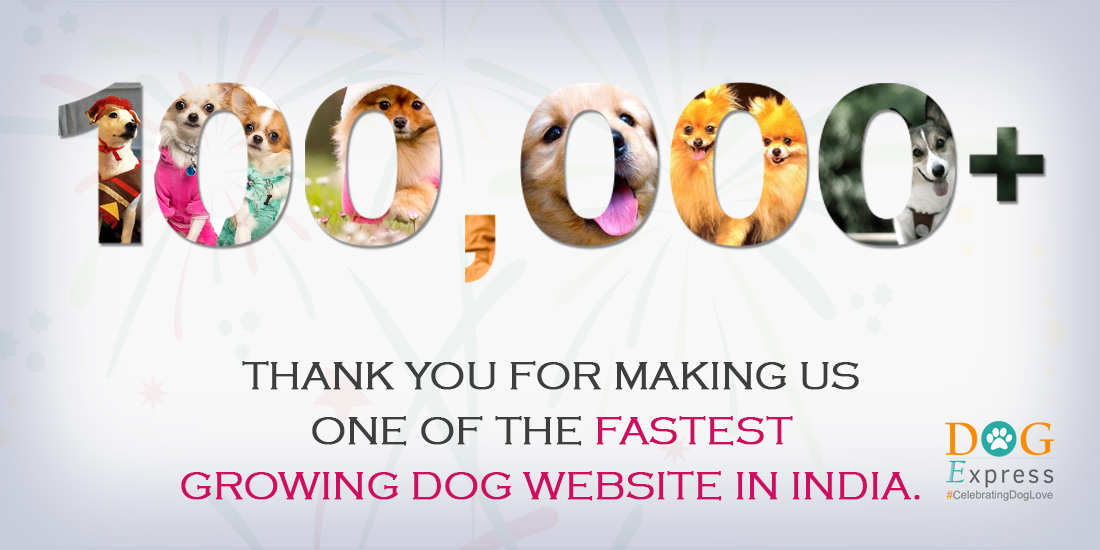 DogExpress: First & Fastest Growing Website Related to Dogs in India