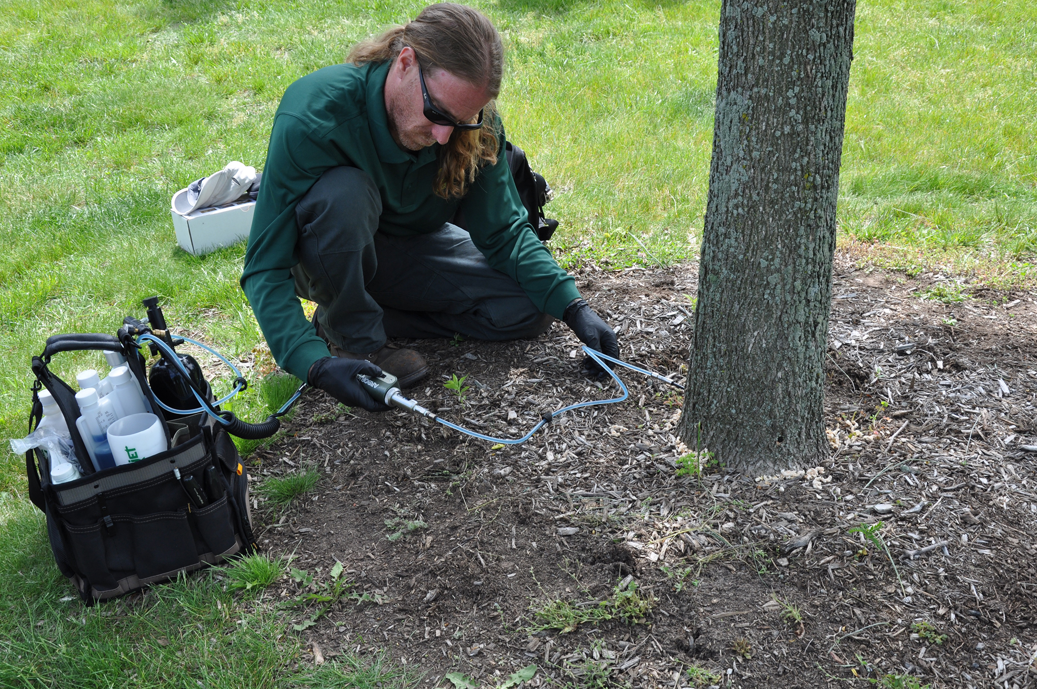 Almstead technician, Jim Hurley, injects an ash tree with Arborjet insecticide to protect it from EAB