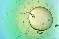 donor sperm treatment at Shady Grove Fertility