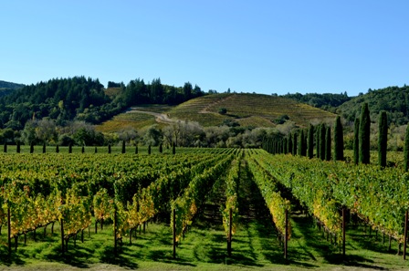 California Wine Country