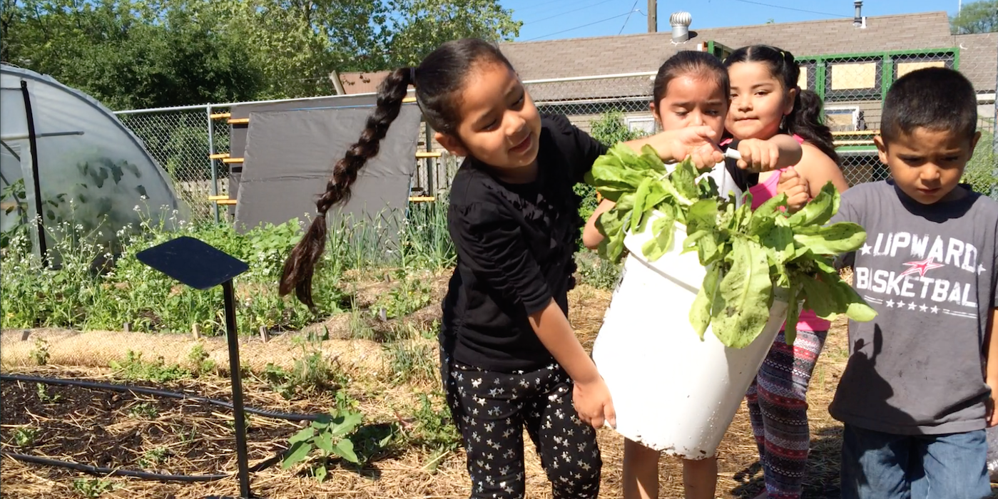 Kids Love Farm to School