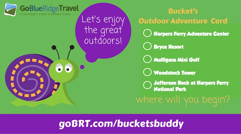 Bucket - The Leader of the Pack - Loves Outdoor Adventure