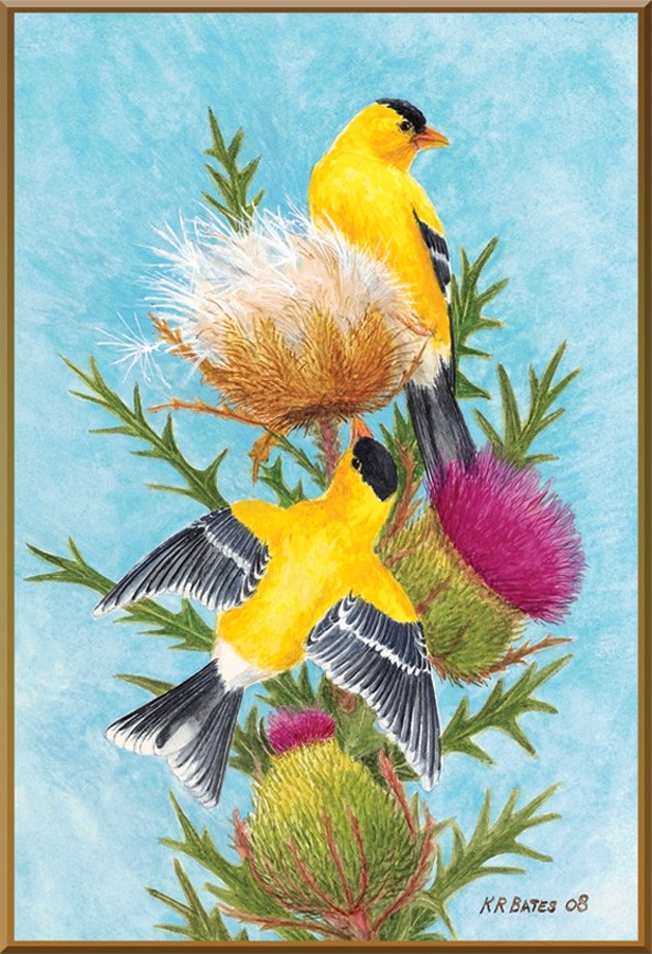 Those attending ICRS are invited to enter during Bates’ book signing for a chance to win a signed print of Goldfinch, one of the paintings included in Christmas Birds.