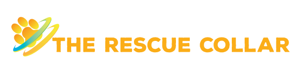 Rescue Collar is a pet invention created to protect pets from getting lost.