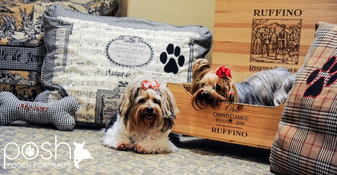 Made in Los Altos custom dog beds available by special order at Enchante Boutique Hotel