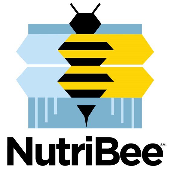NutriBee: Engaging youth in healthful choices