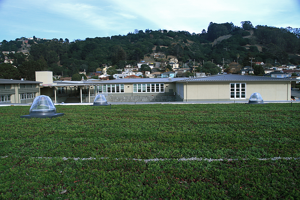 The Green Roof Helps the School Reduce Energy Consumption