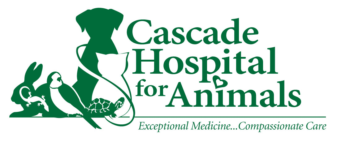 Cascade Hospital for Animals