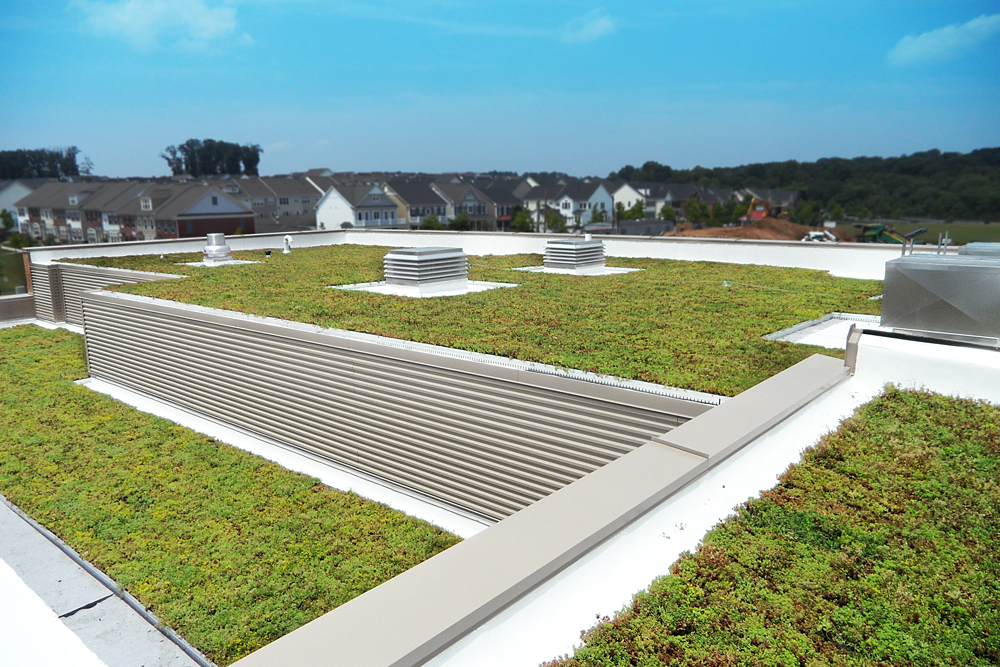 Living Roofs Provide Healthy Learning Environments for Students.