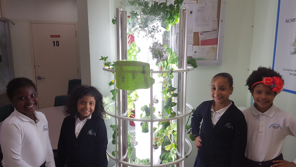 Our indoor school garden!