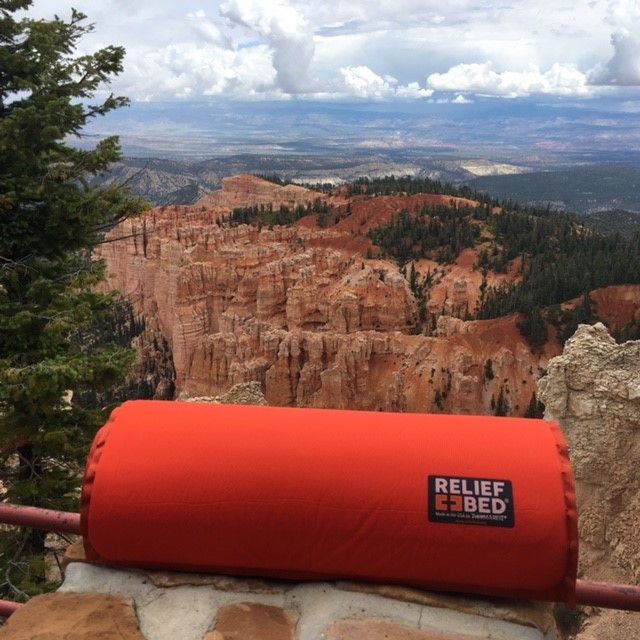 Relief Bed situated at the top of Bryce Canyon, UT.