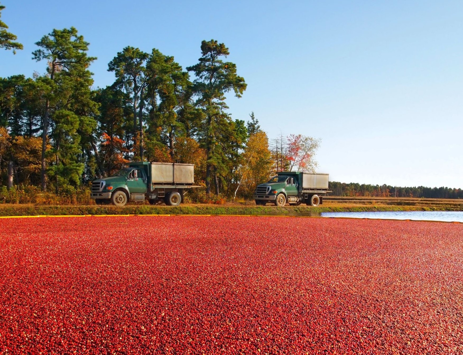 New Jersey ranks in the top five nationally for total production of cranberries, bell peppers, spinach, and blueberries.