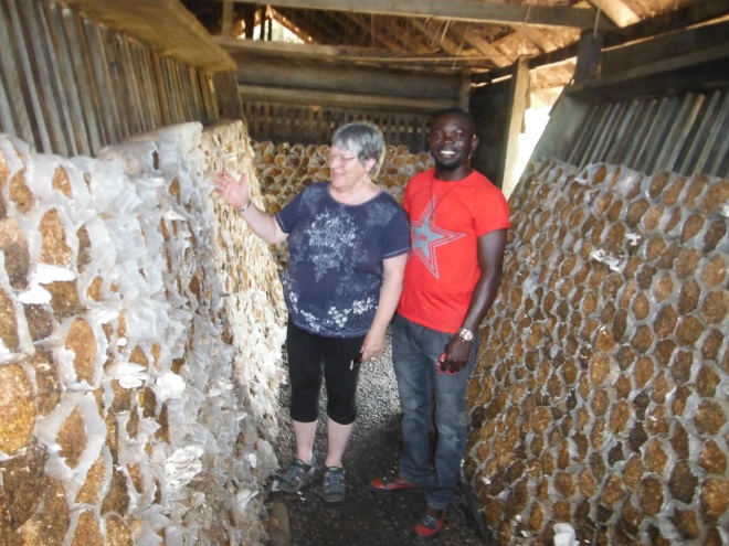 Dr. Sandra Williams of Mushrooms in Ghana Project works with a Ghanaian oyster mushroom farmer.