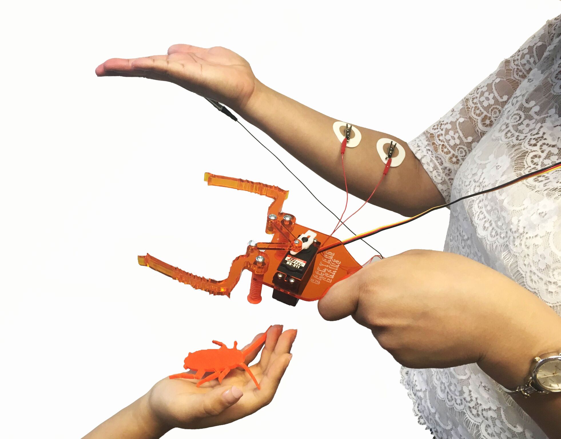 The laser cut acrylic frame and motorized gripping “claw” looks like a pair of cockroach legs.