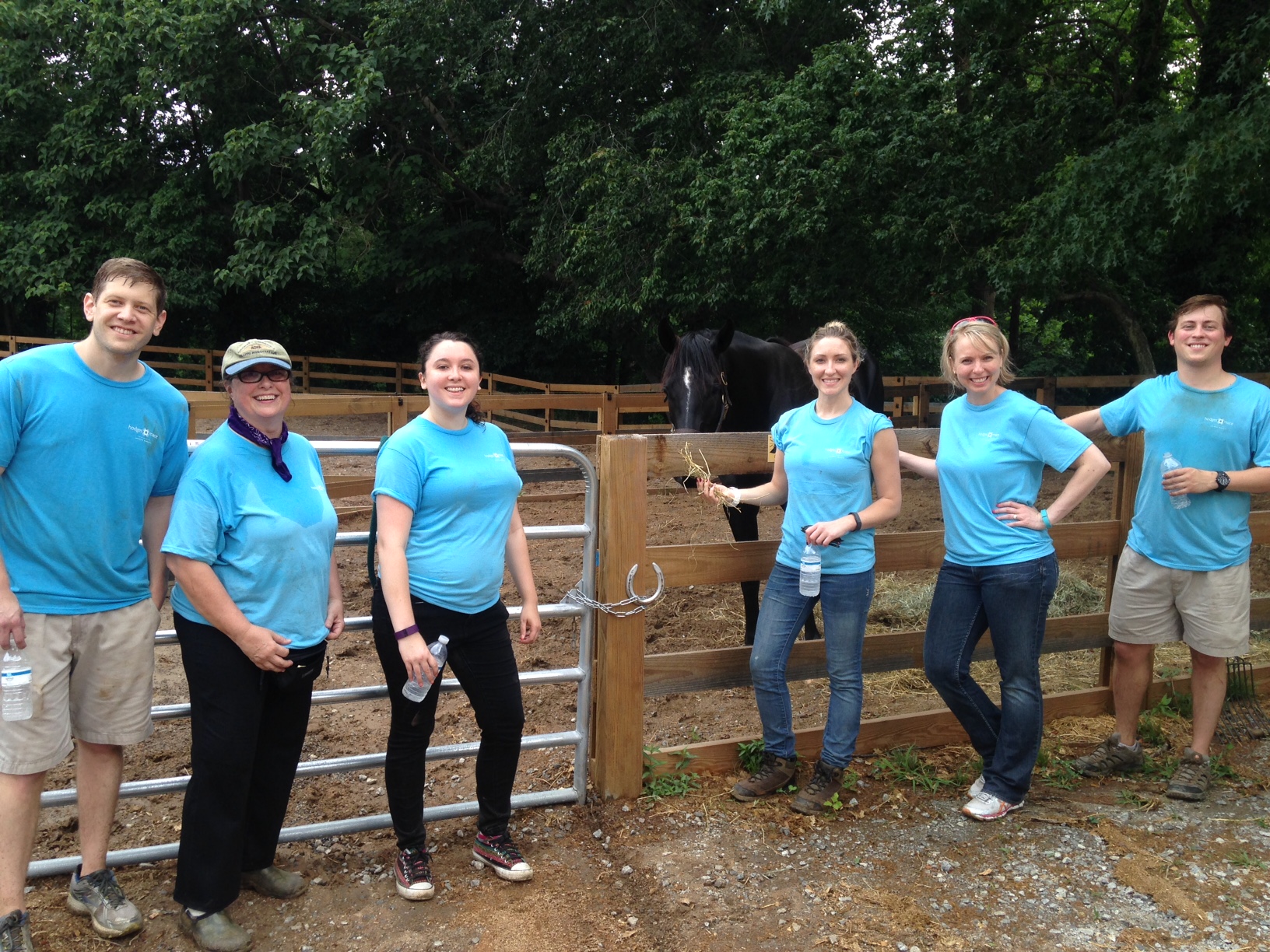 Hodges-Mace Employees Volunteer at Chastain Horse Park during Summer of Service 2016