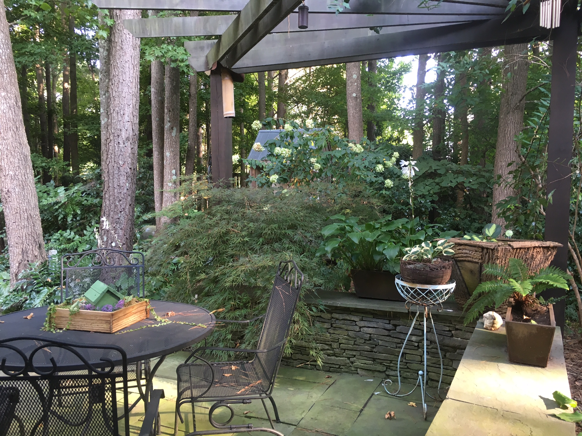 Shannon Hathaway's garden offers sanctuary for its guests among the plants of the dining patio.