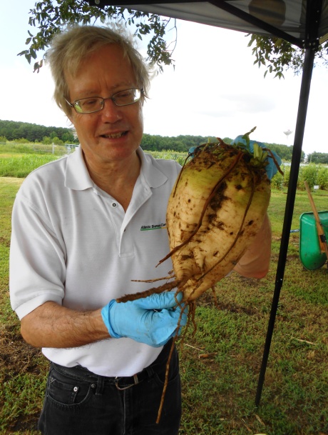 Example of energy beet held by Robert Kozak, President, Atlantic Biomass