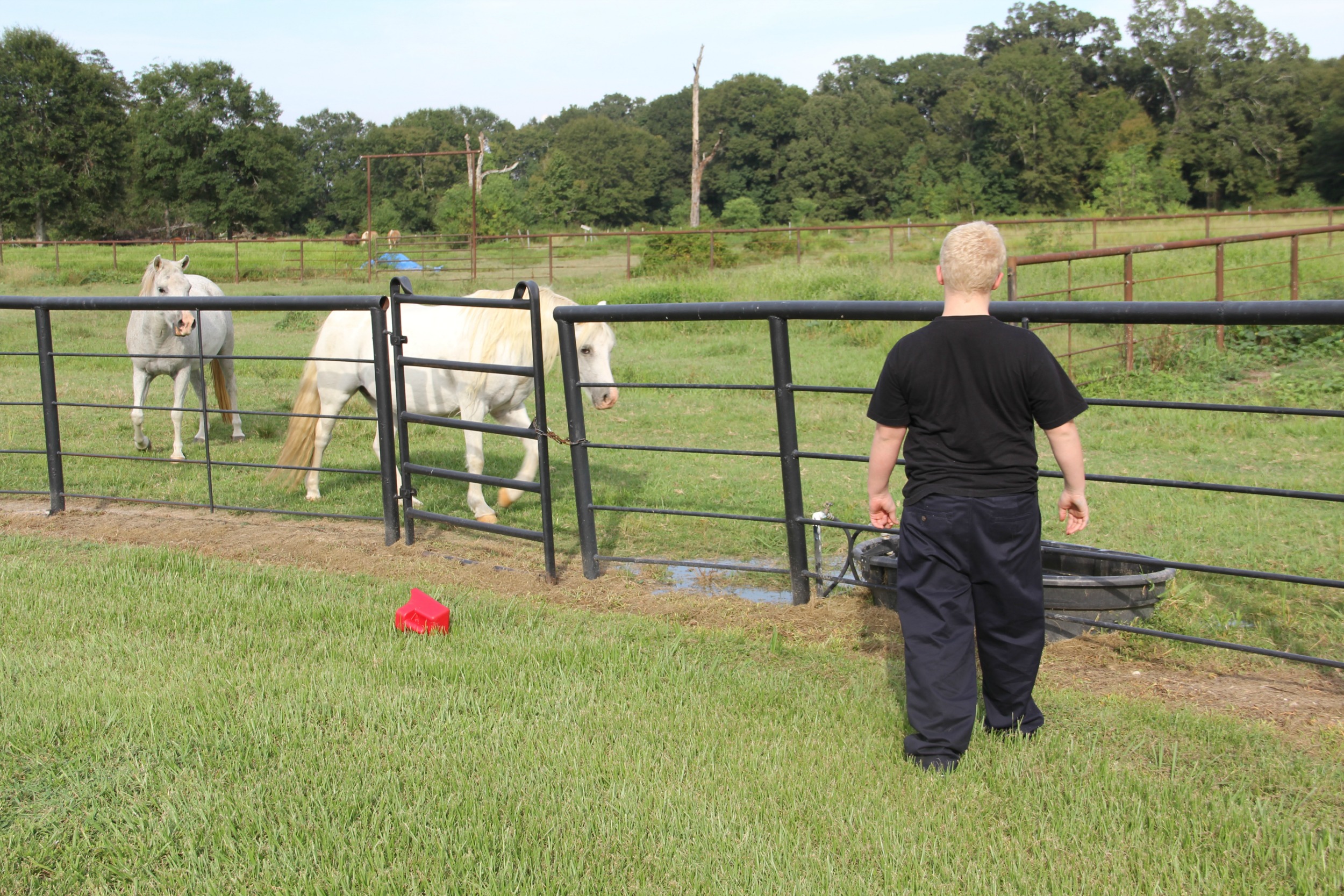 The horses were happy to see their friend Jason when he returned to the Ranch for a visit.